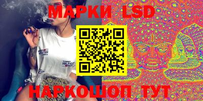 a pvp Свободный