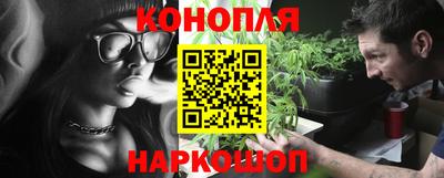 a pvp Свободный
