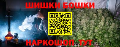 a pvp Свободный
