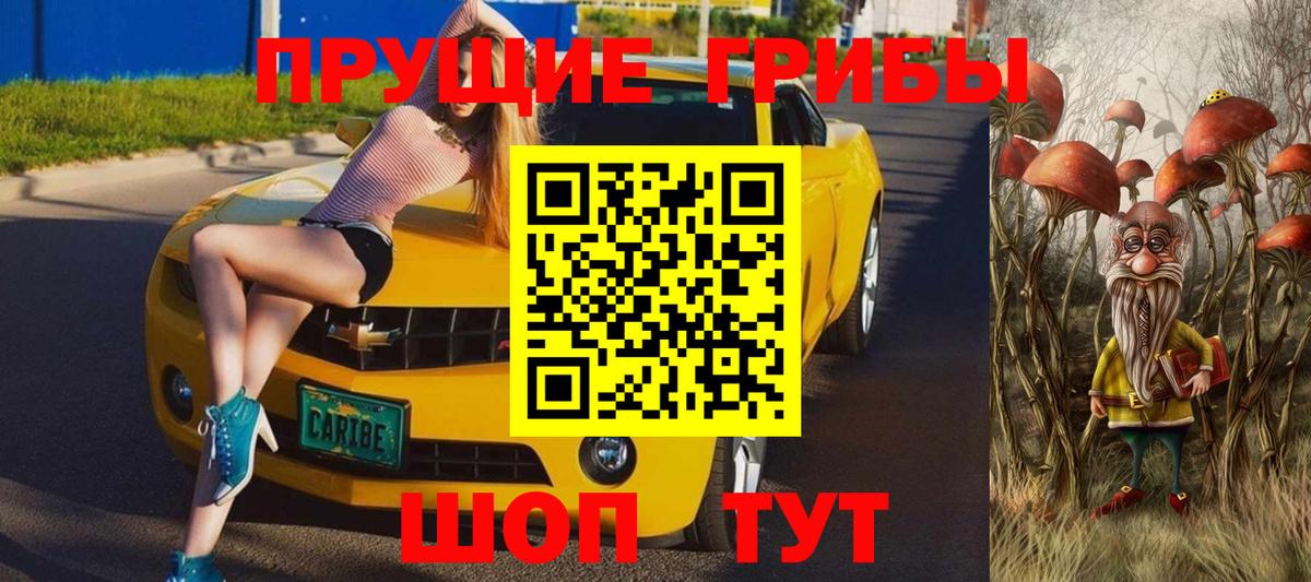 A PVP Обнинск