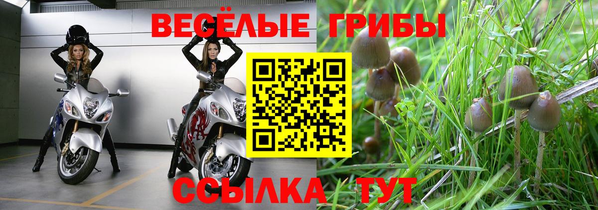 Псилоцибиновые грибы Psilocybe  Псилоцибиновые грибы Cubensis  Вход с VPN  Обнинск 